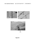 Fabrication of Biscrolled Fiber Using Carbon Nanotube Sheet diagram and image