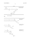 COMPONENTS FOR PRODUCING AMPHOTERIC LIPOSOMES diagram and image