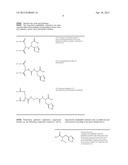 COMPONENTS FOR PRODUCING AMPHOTERIC LIPOSOMES diagram and image