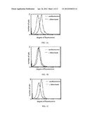 COMPOSITION FOR THE ADMINISTRATION OF POLYMERIC DRUGS diagram and image