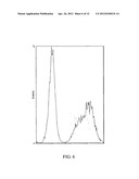 COMPOSITION FOR THE ADMINISTRATION OF POLYMERIC DRUGS diagram and image