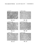 Intralymphatic Chemotherapy Drug Carriers diagram and image