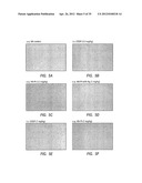 Intralymphatic Chemotherapy Drug Carriers diagram and image