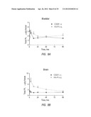 Intralymphatic Chemotherapy Drug Carriers diagram and image