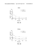 Intralymphatic Chemotherapy Drug Carriers diagram and image