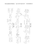 Intralymphatic Chemotherapy Drug Carriers diagram and image