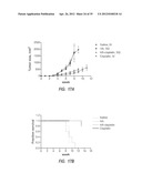 Intralymphatic Chemotherapy Drug Carriers diagram and image