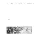 CATHODE ACTIVE MATERIAL AND NONAQUEOUS SECONDARY BATTERY INCLUDING CATHODE     HAVING THE CATHODE ACTIVE MATERIAL diagram and image