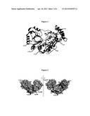 ENZYME MUTANT diagram and image