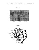 ENZYME MUTANT diagram and image