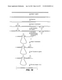 EFFICIENT BASE DETERMINATION IN SEQUENCING REACTIONS diagram and image