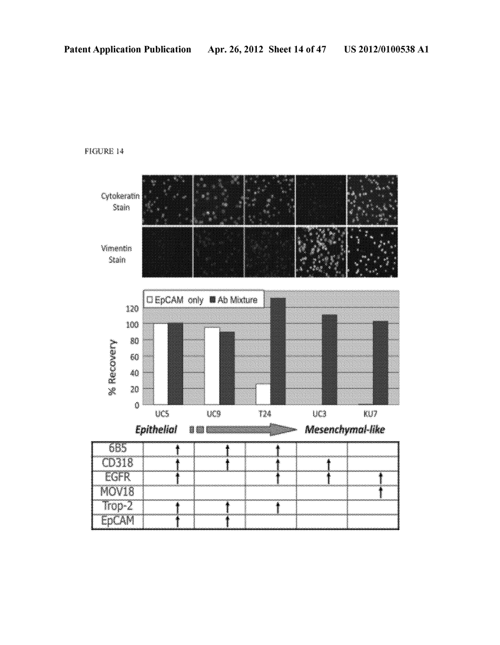 Devices and methods of cell capture and analysis - diagram, schematic, and image 15