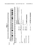 GENE METHYLATION IN CANCER DIAGNOSIS diagram and image