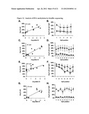 GENE METHYLATION IN CANCER DIAGNOSIS diagram and image