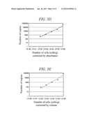 METHOD FOR DETECTION OF TARGET NUCLEIC ACID, AND METHOD FOR TESTING FOR     COLON CANCER diagram and image