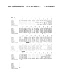 METHOD FOR DETERMINING FATTY ACID SYNTHESIS PATHWAY OF MICROORGANISM, AND     PCR PRIMER SET FOR USE IN THE METHOD diagram and image