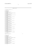 METHOD FOR DETERMINING FATTY ACID SYNTHESIS PATHWAY OF MICROORGANISM, AND     PCR PRIMER SET FOR USE IN THE METHOD diagram and image