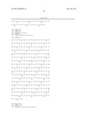 METHOD FOR DETERMINING FATTY ACID SYNTHESIS PATHWAY OF MICROORGANISM, AND     PCR PRIMER SET FOR USE IN THE METHOD diagram and image