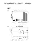 CHO/CERT CELL LINES diagram and image