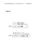 CHO/CERT CELL LINES diagram and image