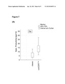 CHO/CERT CELL LINES diagram and image