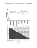 DETECTING CANCER WITH ANTI-CCL25 AND ANTI-CCR9 ANTIBODIES diagram and image