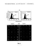 DETECTING CANCER WITH ANTI-CCL25 AND ANTI-CCR9 ANTIBODIES diagram and image