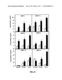 DETECTING CANCER WITH ANTI-CCL25 AND ANTI-CCR9 ANTIBODIES diagram and image