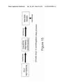 PHOSPHOLIPASES, NUCLEIC ACIDS ENCODING THEM AND METHODS FOR MAKING AND     USING THEM diagram and image