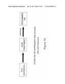 PHOSPHOLIPASES, NUCLEIC ACIDS ENCODING THEM AND METHODS FOR MAKING AND     USING THEM diagram and image