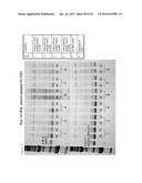 PHOSPHOLIPASES, NUCLEIC ACIDS ENCODING THEM AND METHODS FOR MAKING AND     USING THEM diagram and image