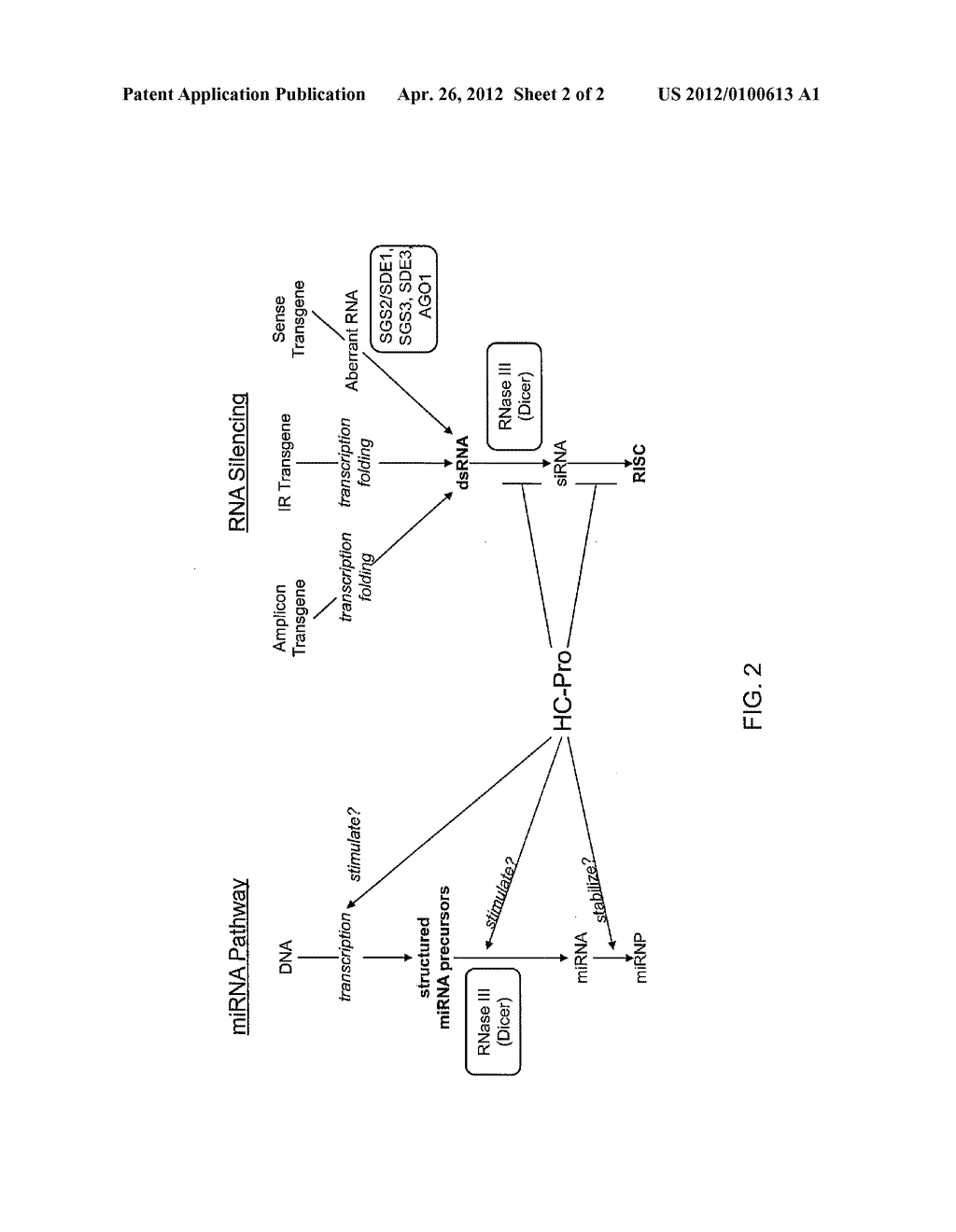 Compositions and Methods for the Modulation of Gene Expression in Plants - diagram, schematic, and image 03