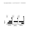 Biological Markers Predictive of Anti-Cancer Response to Insulin-Like     Growth Factor-1 Receptor Kinase Inhibitors diagram and image