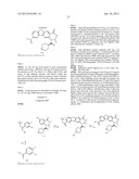 VIRAL POLYMERASE INHIBITORS diagram and image