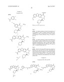 VIRAL POLYMERASE INHIBITORS diagram and image