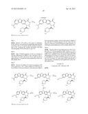 VIRAL POLYMERASE INHIBITORS diagram and image