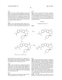 VIRAL POLYMERASE INHIBITORS diagram and image