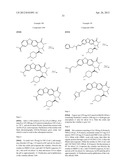 VIRAL POLYMERASE INHIBITORS diagram and image