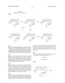 VIRAL POLYMERASE INHIBITORS diagram and image