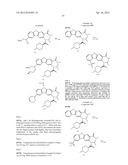 VIRAL POLYMERASE INHIBITORS diagram and image