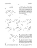 VIRAL POLYMERASE INHIBITORS diagram and image