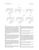 VIRAL POLYMERASE INHIBITORS diagram and image