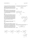 VIRAL POLYMERASE INHIBITORS diagram and image