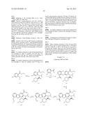 VIRAL POLYMERASE INHIBITORS diagram and image