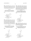 SMALL MOLECULE INHIBITORS OF MDM2 AND THE USES THEREOF diagram and image