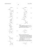 POLYIMIDE PRECURSOR COMPOSITION CONTAINING POLYAMIC ACID  ALKYL ESTER diagram and image