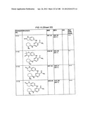 INHIBITORS OF SYK AND JAK PROTEIN KINASES diagram and image