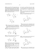 INHIBITORS OF SYK AND JAK PROTEIN KINASES diagram and image