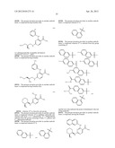 INHIBITORS OF SYK AND JAK PROTEIN KINASES diagram and image