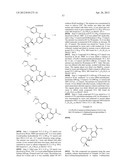 INHIBITORS OF SYK AND JAK PROTEIN KINASES diagram and image